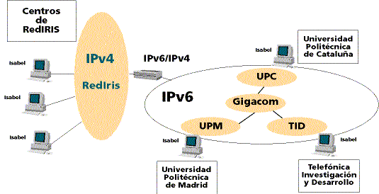 Plataforma de red SABA (figura 3)