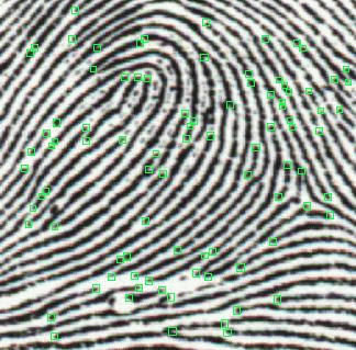 Image fingerprint