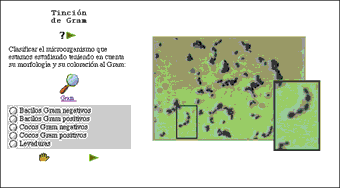 Figura 3: Pantalla del programa de 
simulación de análisis microbiológico de muestras
de orinas